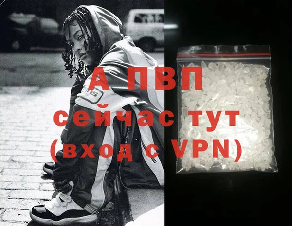 крисы Абаза