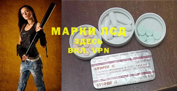 крисы Абаза