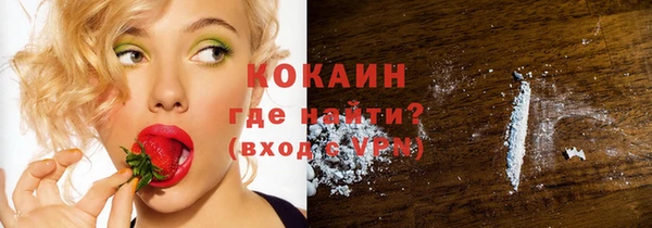 крисы Абаза