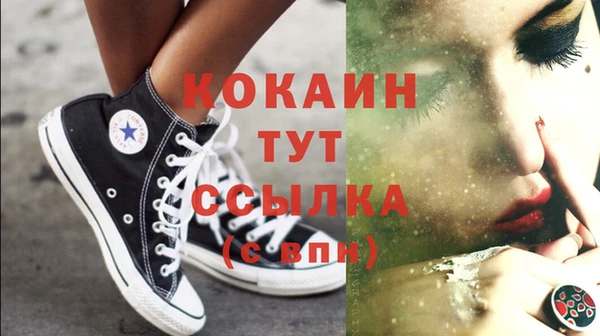 крисы Абаза