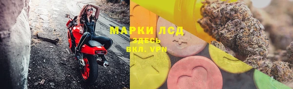крисы Абаза